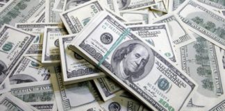 Шымкентца осудили на 5,5 лет за поддельные доллары Доллары