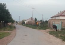 В селе Багыс до сих пор живут без регистрации Асфальтированная улица в приграничном селе Багыс
