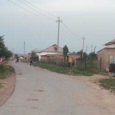 195 шымкентским улицам предложены новые названия Асфальтированная улица в приграничном селе Багыс