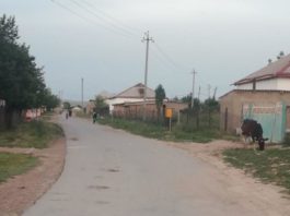 Асфальтированная улица в приграничном селе Багыс