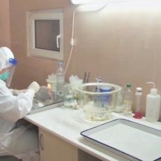 Почти в 2 раза увеличилось количество пострадавших от укусов клещей в ЮКО лаборатория, клещи
