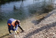 Неделя «Мөлдір бұлақ»: Шымкент очищает реки и озера! Уборка на берегах Кошкараты