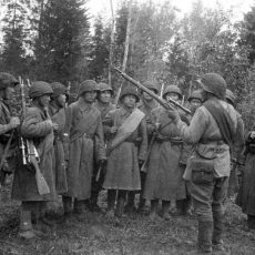 Где погибла 102-я чимкентская стрелковая дивизия (неизвестные страницы войны) Братский боевой союз народов СССР в войне с фашистами