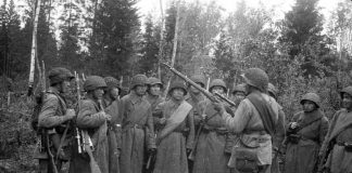 Где погибла 102-я чимкентская стрелковая дивизия (неизвестные страницы войны) Братский боевой союз народов СССР в войне с фашистами