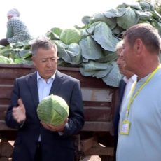 Аким ЮКО побывал на полях и узнал по какой цене крестьяне продают капусту Аким ЮКО побывал на полях и узнал по какой цене крестьяне продают капусту