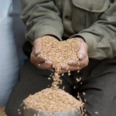 Садака онлайн: казахстанские мусульмане смогут сделать пожертвования через телефон Размер фитр-садака в Казахстане