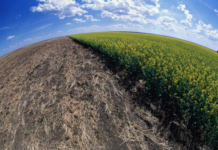 В Шымкенте ученые шести стран ищут варианты спасения от ЭКОбед