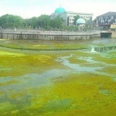 От городского озера в Шымкенте осталось мокрое место Городское озеро