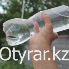 В Туркестанской области в райцентре Аксукент из кранов течет микс из воды, червей и песка Вода