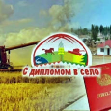С дипломом — в село С дипломом - в село