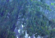 Сильный дождь ожидается в Шымкенте Дождь. Гроза