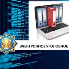 В ДВД ЮКО зарегистрированы 554 уголовных дела в электронном формате электронные уголовные дела