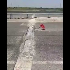 О торчащей на трассе арматуре предупреждают друг друга водители