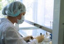 Носители менингококка: где и как провериться казахстанцам Лабораторные исследования. Анализ