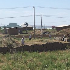 Жители поселка Жибек жолы Сарыагашского района в Ташкенте бывают чаще, чем в Шымкенте Жибек жолы