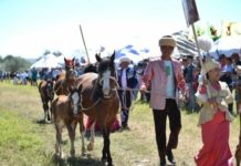 В ЮКО главным героем фестиваля стал национальный напиток — кумыс кумыс