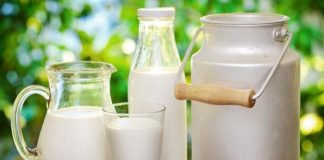 Доказана польза молока для продления жизни молоко