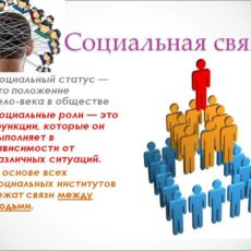 Шымкентцев торопят определиться со своим статусом Социальный статус
