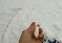 Снег выпал на Шымбулаке снег на Шымбулаке