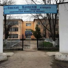 Стало известно о еще одном изнасиловании мальчика в селе Абай село Абай