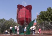 Какие опасности таят в себе городские фонтаны Фонтан Тюльпан