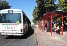 По социальным маршрутам в Шымкенте начали курсировать автобусы