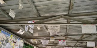 Шымкент «тонет» в объявлениях о работе