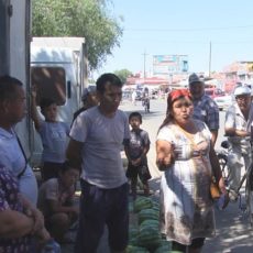 Незаконная торговля бахчевыми в Арыси чуть не спровоцировала драку
