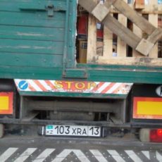 Дыни из Туркестанской области не пустили в Омск из-за мелкой формальности дыни в Омск