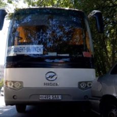 Чтобы попасть из Шымкента в Ташкент, билет на автобус лучше покупать заранее Автобус Шымкент - Ташкент