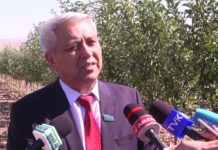 В районах Туркестанской области есть проблемы с получением субсидий