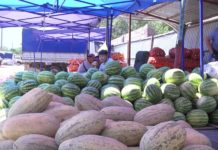 Как правильно выбрать спелый арбуз Дыни и арбузы