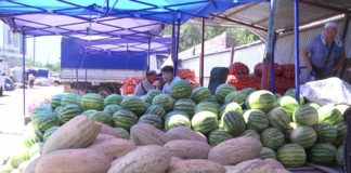 Шымкентцы вынуждены покупать дорогие арбузы и дыни Дыни и арбузы