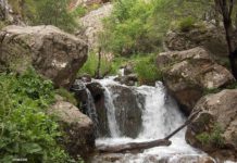 Коттеджи и зоны отдыха оккупировали реку Сайрамсу в ущелье Бургулюк