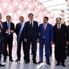 Президент поблагодарил акима и жителей Туркестанской области