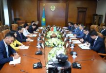 Аким Туркестанской области встретился с делегацией из китайской провинции Хубэй