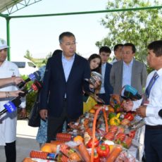 В этом году 1800 казыгуртских семей будут обеспечены голубым топливом