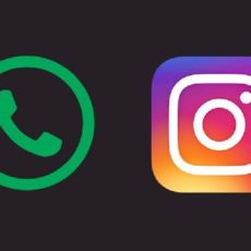 Собственные WhatsApp и Instagram появился у Енбекшинского акимата