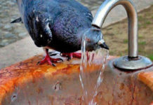 Погода в Казахстане в четверг 12 июля