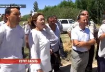 В Туркестанской области изымают плодородные земли, чтобы построить микрорайон сход жителей
