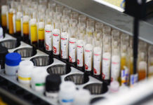 Названы главные смертельные угрозы человечеству в XXI веке