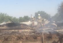 Трехлетний ребенок сгорел в автомобиле в Сарыагашском районе Трехлетний ребенок сгорел в автомобиле в Сарыагашском районе