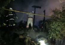 В Шымкенте в частном подворье сгорело сено и погиб скот