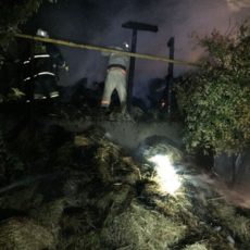 В Шымкенте в частном подворье сгорело сено и погиб скот