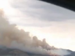 Пожар на Бухтарминском водохранилище