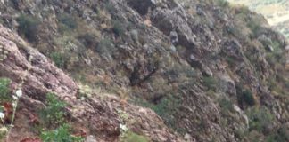 Спасатели Шымкента сняли со скалы двух туристов из Атырау поисково-спасательные работы