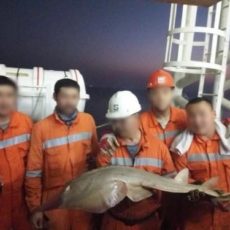 Чудо-юдо на Кашагане неизвестная рыба