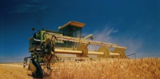 Достижения аграрного сектора Шымкента: успешные итоги сезона