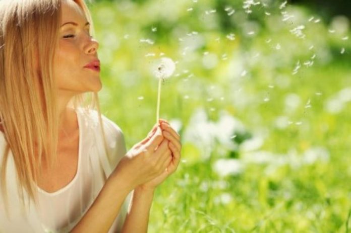 девушка дует на одуванчик девушка дует на одуванчик