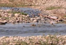 Жители массива «Маятас» жалуются на зловоние возле реки Бадам Река Бадам. Мелководье